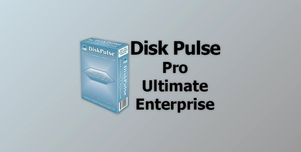 Disk Pulse